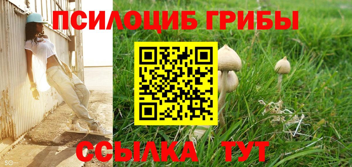 Тимашёвск  Галлюциногенные грибы прущие грибы  Вход с VPN 
